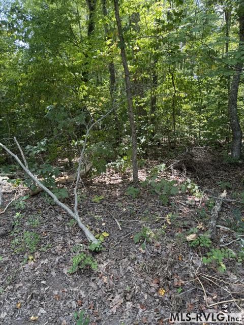 Land in Brodnax 3