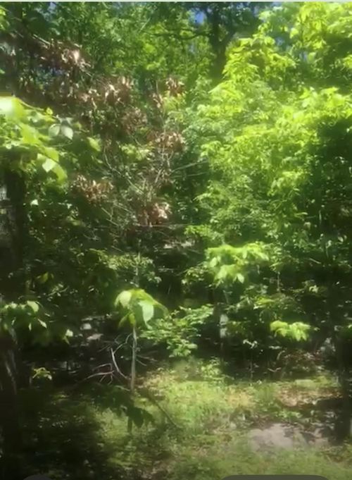 190 Brook Trl, Greenwood Lake, NY, 10925-4210 | Card Image