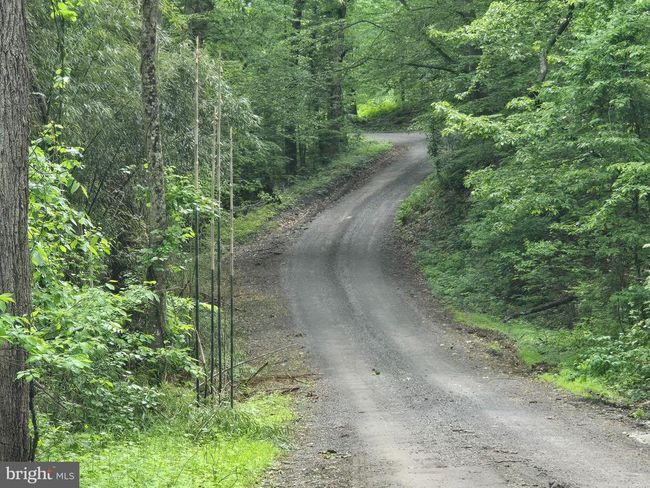 4127 Hardscrabble Rd, Home with 0 bedrooms, 0 bathrooms and null parking in Linden VA | Image 14