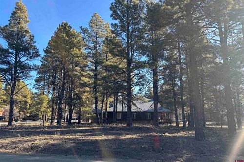 9 Ruby Court, Pagosa Springs, CO, 81147 | Card Image