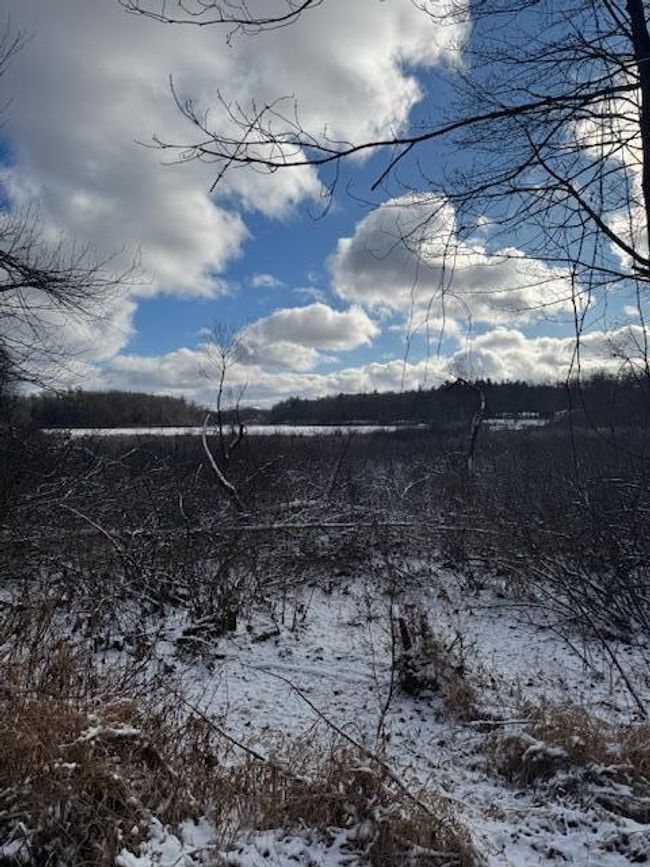 PARCEL-1 - V/L W Snows Lake Road, Home with 0 bedrooms, 0 bathrooms and null parking in Fenwick MI | Image 27