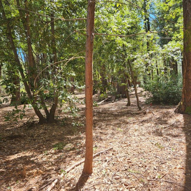 11254 Winding Way, Home with 0 bedrooms, 0 bathrooms and null parking in Clipper Mills CA | Image 13