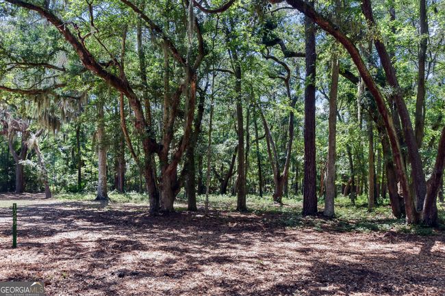 1069 Shellman Hammock Dr Ne, House other with 2 bedrooms, 2 bathrooms and null parking in Townsend GA | Image 29