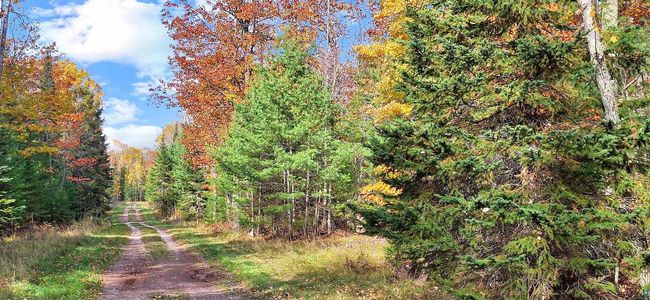 Lot 1, Block 2 Raspberry Trail, Home with 0 bedrooms, 0 bathrooms and null parking in LA POINTE WI | Image 5