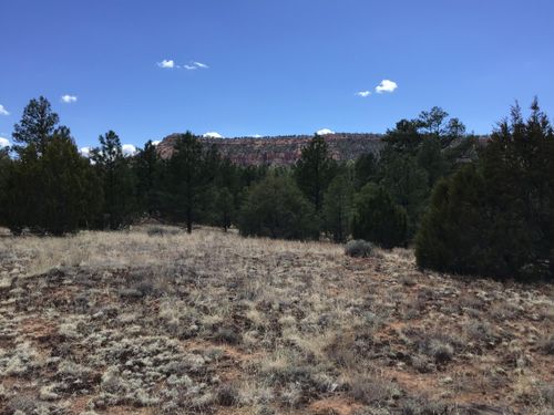 Lot 28 Monte Vista Ln, Ramah, NM, 87321-0105 | Card Image