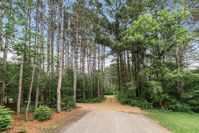 Driveway w/ Mature Trees | Image 30