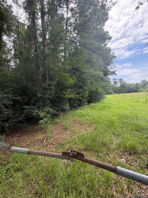 TBD 7.45 Acres Belgian Rd, Holden, LA, 70744 | Card Image