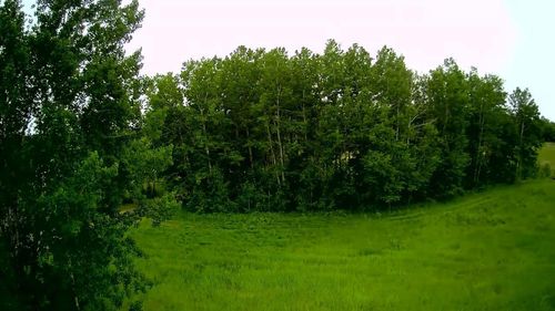 Parcel B Klondyke Road, Ironton, MN, 56455 | Card Image