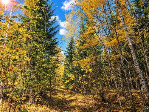 TBD Hinkkanen Rd, Floodwood, MN, 55736 | Card Image
