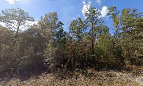 lot-5-0 Canyon Swallow Rd, BROOKSVILLE, FL, 34614 | Card Image