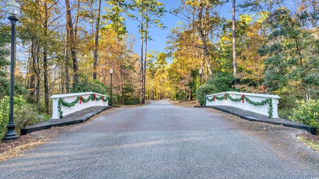 20 Serenity Park Ln, Home with 0 bedrooms, 0 bathrooms and null parking in Georgetown SC | Image 21