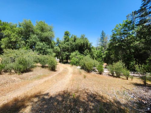 12717 Armstrong Rd, Sheep Ranch, CA, 95246 | Card Image