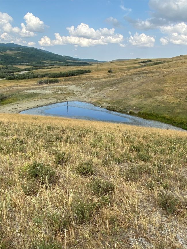 Yellow Mt. | Image 66