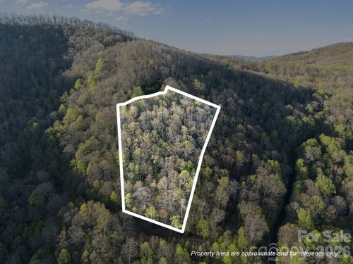 58 Mountain Azalea Dr, Swannanoa, NC, 28778-9145 | Card Image
