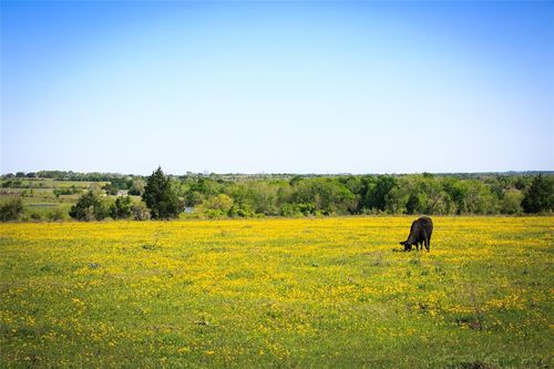 177 Chadwick-Hogan Road, Chappell Hill, TX, 77426 | Card Image