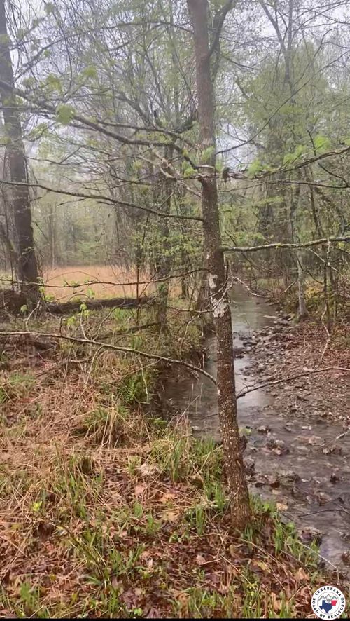 81 Glory Mountain Road, Out of Area-Arkansas, AR, 71935 | Card Image