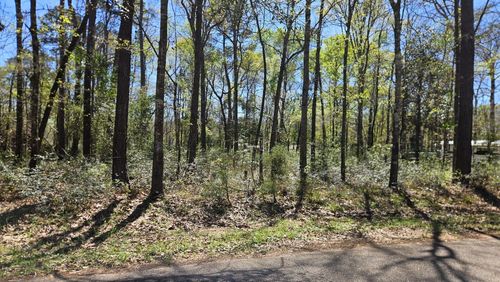 0 Firewood Dr, Conroe, TX, 77303 | Card Image