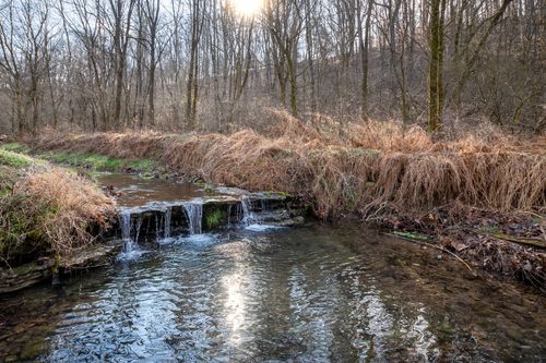 2171 Simmons Ridge Rd, Cornersville, TN, 37047-5134 | Card Image