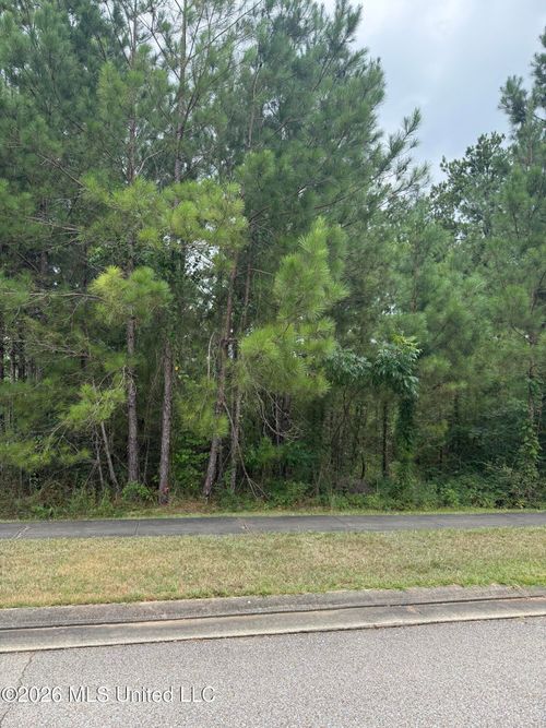 42 S Of Flds, Hattiesburg, MS, 39402-7311 | Card Image