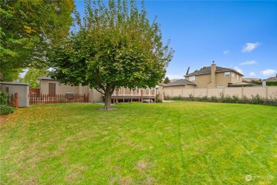 Big backyard with mature perennials | Image 3