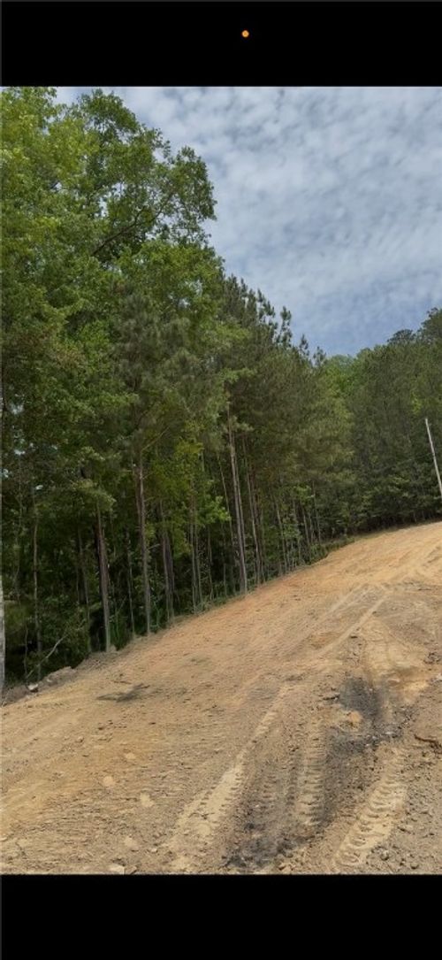 1 Amber Drive, Jacksons Gap, AL, 36861 | Card Image
