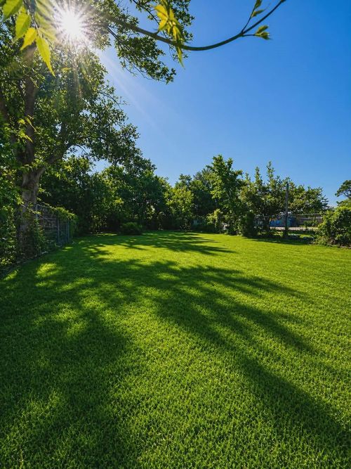 4115 Billingsley St, Houston, TX, 77009-4036 | Card Image