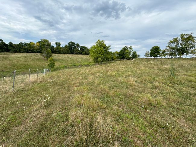 2076 Bald Hill Rd, Home with 5 bedrooms, 1 bathrooms and null parking in Hillsboro KY | Image 29