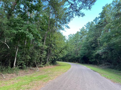 TBD White Poplar Dr, Village Mills, TX, 77663 | Card Image