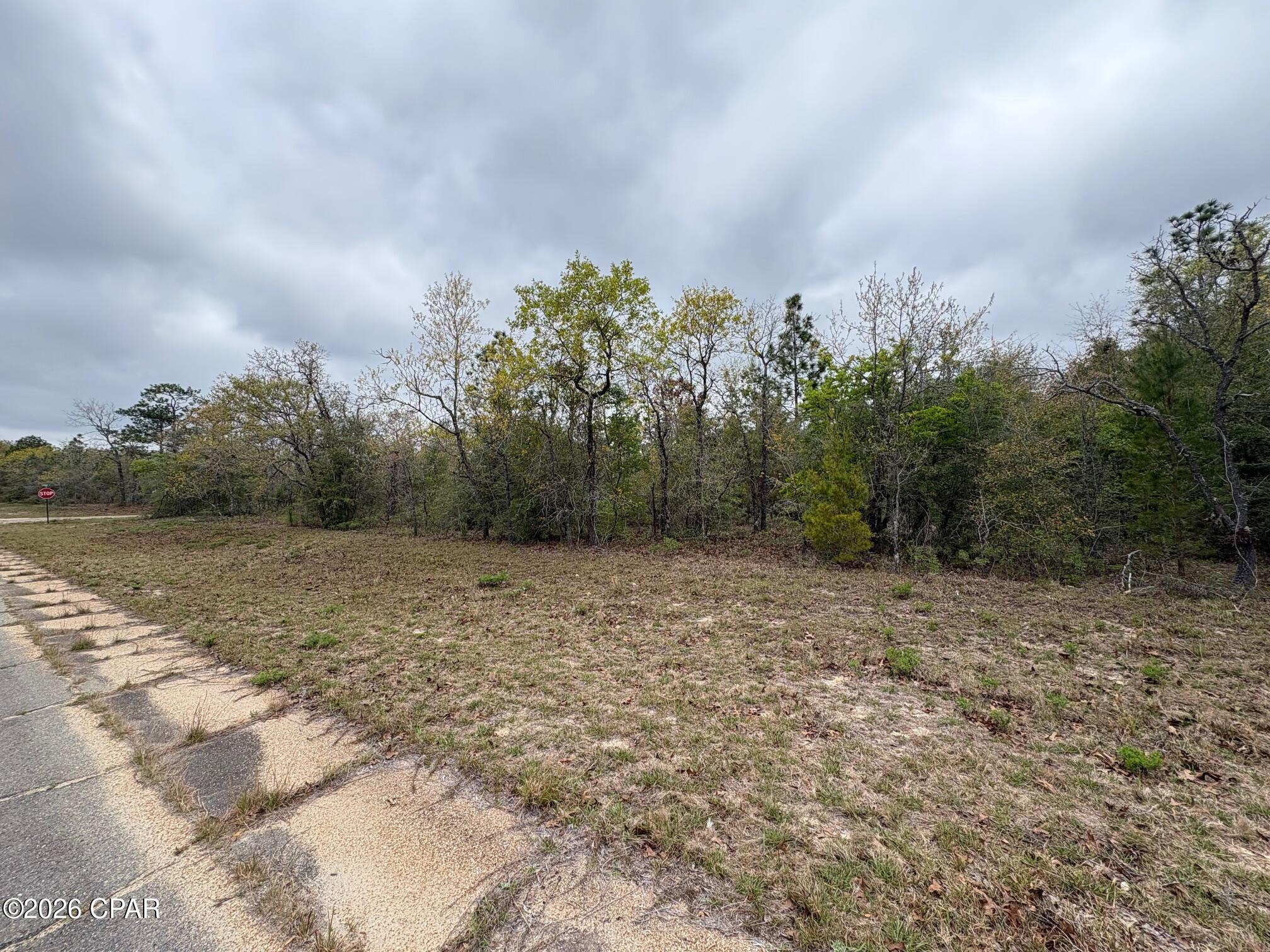 Land in Chipley 3