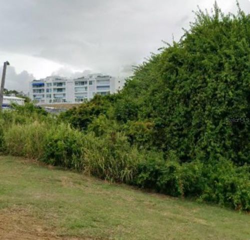 LOT 1 Calle Robles Barrio Las Cabezas, Fajardo, PR, 00738 | Card Image