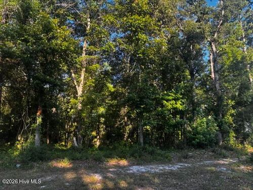 2425 Arborside Cir Se, Bolivia, NC, 28422 | Card Image