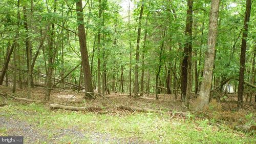 Lot 179 Stuart Dr, BASYE, VA, 22810 | Card Image