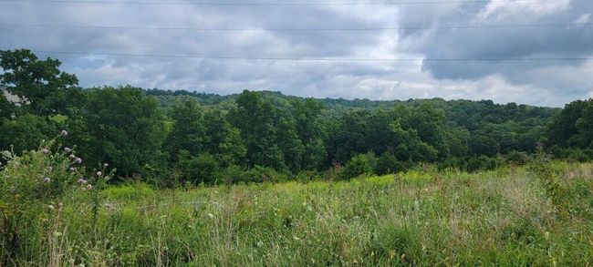 15711 Pfanstiel Rd, Home with 0 bedrooms, 0 bathrooms and null parking in Demossville KY | Image 11