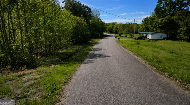 Land in Meansville 3