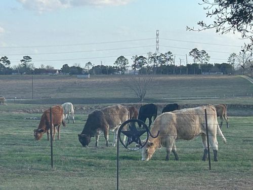 1100 Swiss Alp Hills Loop, Schulenburg, TX, 78956-5556 | Card Image