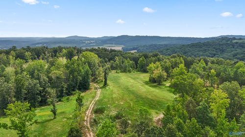 42 acres County Highway 11, Hayden, AL, 35079 | Card Image