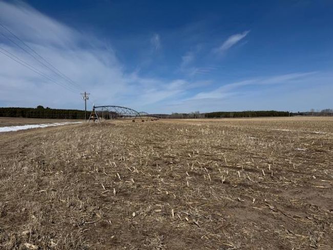 0000 County Road 61, Home with 0 bedrooms, 0 bathrooms and null parking in Browerville MN | Image 33