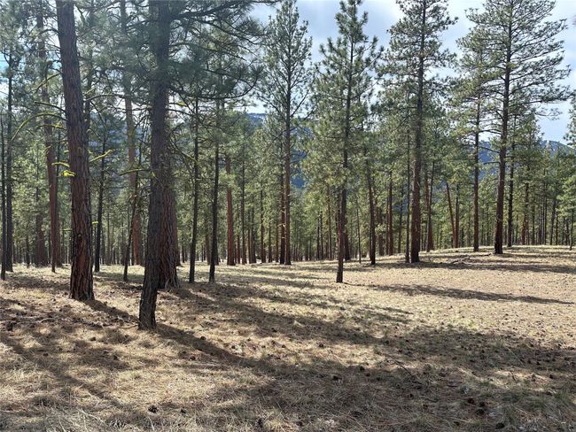 31760 Old Highway 10 W, Home with 0 bedrooms, 0 bathrooms and null parking in Alberton MT | Image 15