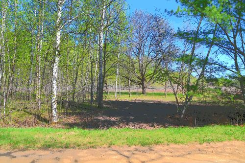 TBD Poplar Ln, Browerville, MN, 56438 | Card Image