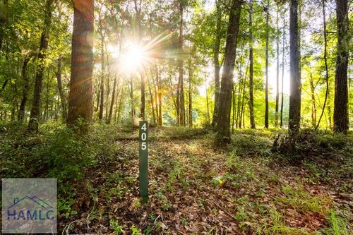 Lot 405 Blackberry Ct, Townsend, GA, 31331 | Card Image
