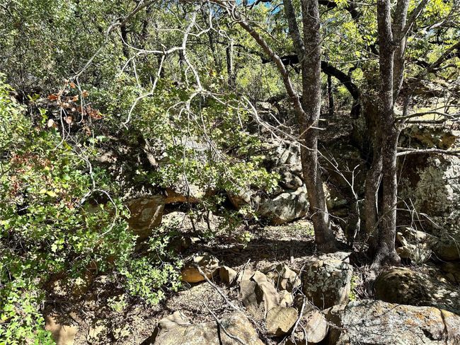 View of nature | Image 14