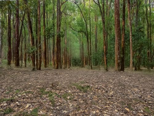 57 Grant Rd, Cold Brook, NY, 13324 | Card Image