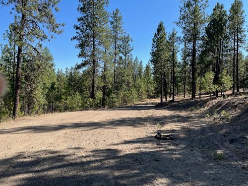 Lot 3 Top Notch Bob White Ln, Davenport, WA, 99122 | Card Image