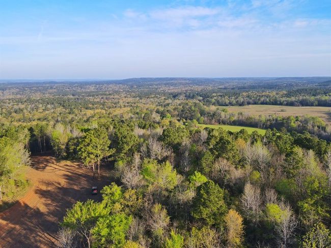 99 Cr 2107, Home with 0 bedrooms, 0 bathrooms and null parking in Rusk TX | Image 6