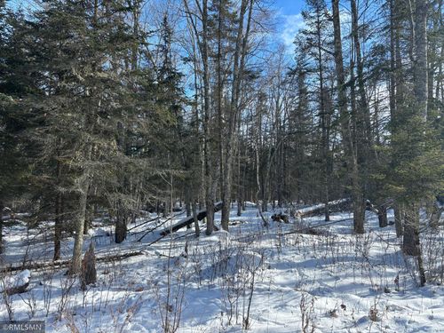 XXX 422nd St, Tamarack, MN, 55787 | Card Image