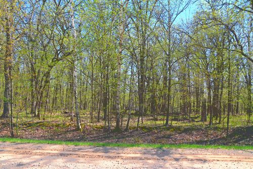 TBD 392nd St, Browerville, MN, 56438 | Card Image