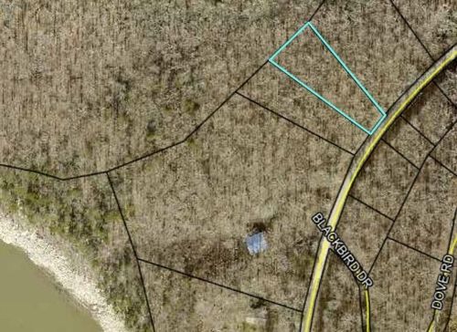 41 Paradise Rd, Somerset, KY, 42501 | Card Image