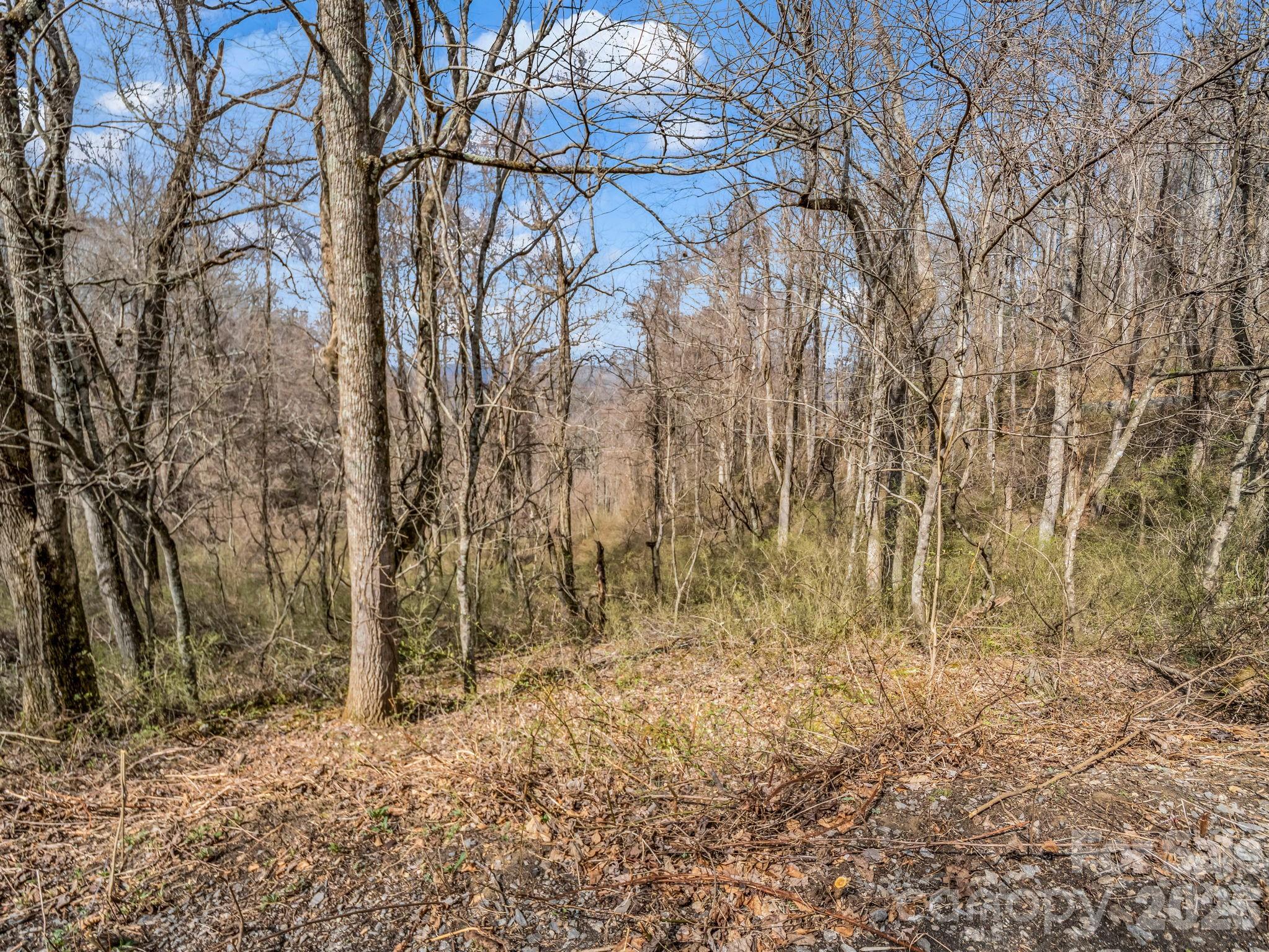 Land in Asheville 5