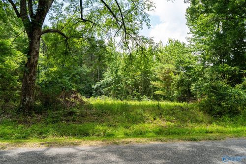 5.37 Acres Mount Carmel Drive, Guntersville, AL, 35976 | Card Image