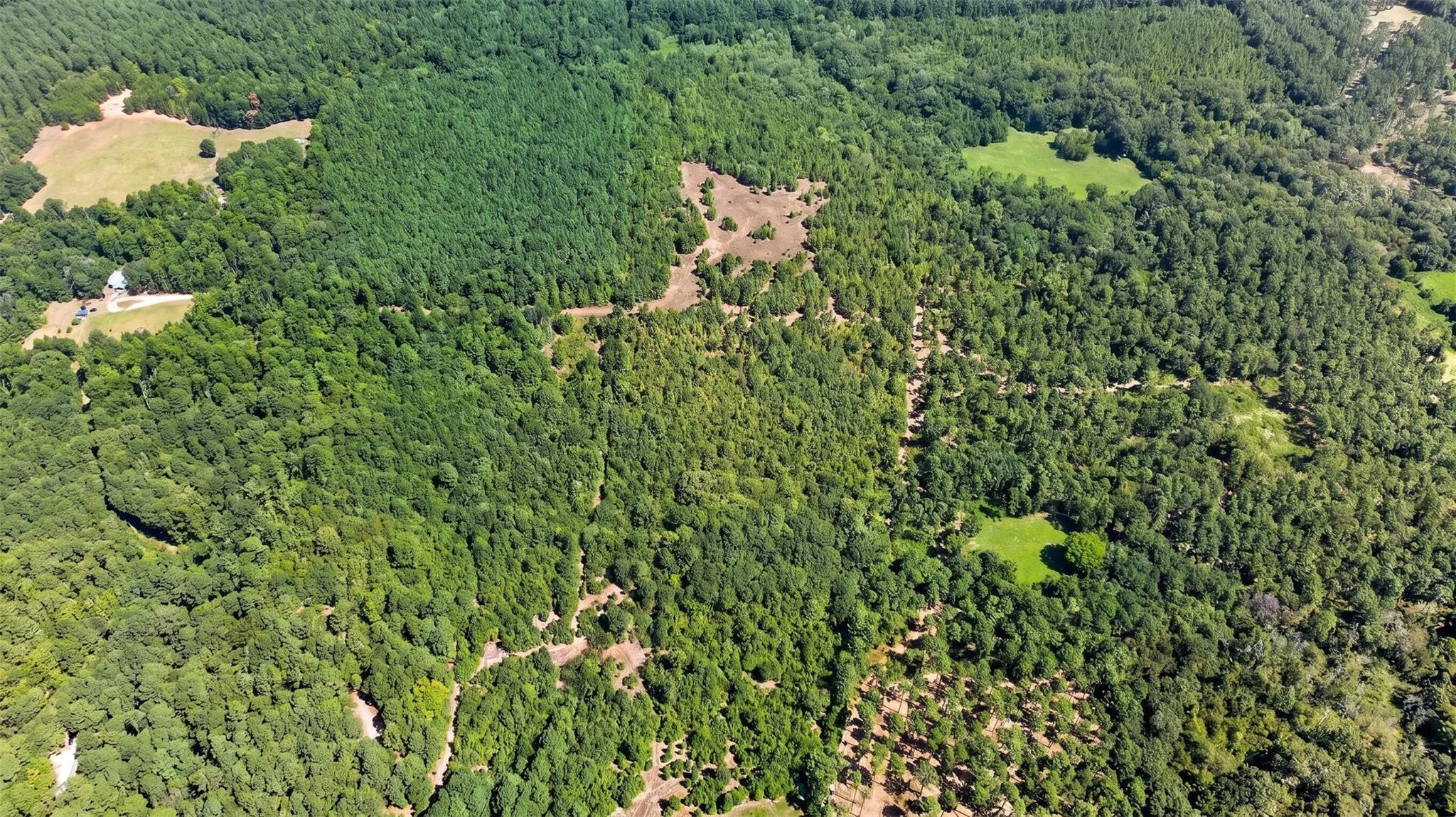 Land in Gilmer 3